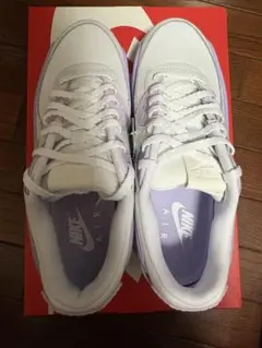 ナイキ エア マックス 90 LV8 24.5