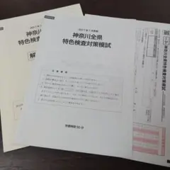 Item thumbnail for item 1129d426-6d7a-43c2-876e-a1602fcc7084