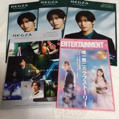 目黒蓮　カタログ　REGZA　パンフレット　撮り下ろし　限定品　セット