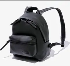 ノースフェイス 大容量 レザーリュック DESERT BERKELEY ほぼ新品 