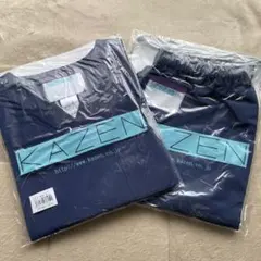 Item thumbnail for item 36d1b4f2-5a5a-4958-a2ea-79d647451535