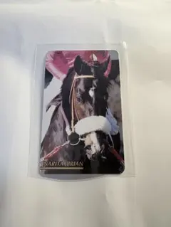 まねき馬倶楽部　レインボーカード　コントレイル（チェックリスト） 2025年最新】Yahoo!オークション -レインボーカード まねき馬の中古品