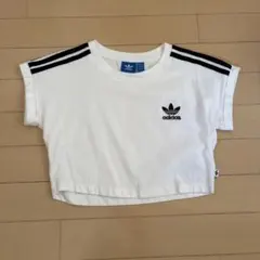 adidas クロップドTシャツ 半袖 ホワイト