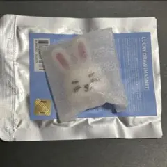 SEVENTEEN MINITEEN ミニティーン マグネット エスクプス
