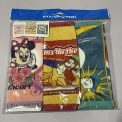ディズニーリゾート　タオル　3枚セット