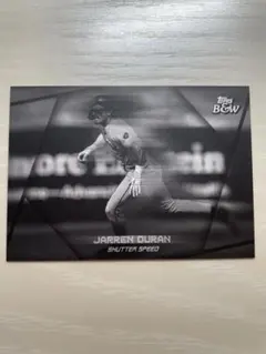 Topps Black & White Baseball ディラン　インサート