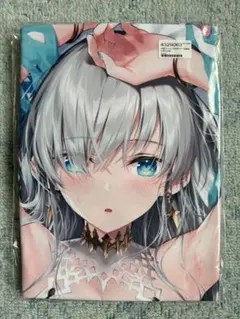 正規品 未開封 Fate 抱き枕カバー 水着ver アナスタシア 光崎 GH.K 