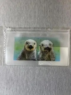 鳥羽水族館 ラッコ メイちゃん＆キラちゃん 透明ポーチ×2点 新品