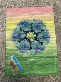 Item thumbnail for item 2bac53d5-d8f8-4e79-b883-1b4c42b0b7fd