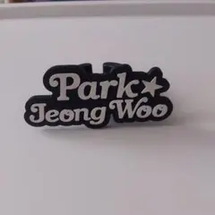 treasure ジョンウ light stick ライトリング