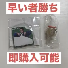 treasure ハルトセット