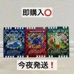 【浜名湖パルパル限定】カード迷路ぐるり森大冒険 地域限定カード3枚セット