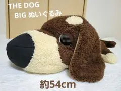 犬 ぬいぐるみ ベージュ ダックスフンド風 - メルカリ