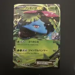 フシギバナEX PROMO XYシリーズプロモーションカード PROMO 23…のサムネイル