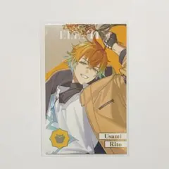 【にじさんじ】宇佐美リト メタルカード 1枚【8周年】