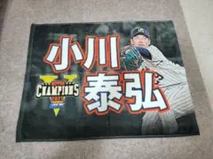 Item thumbnail for item 9aadd5aa-e527-4ae4-8f52-b2bc894351c6