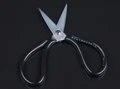 Item thumbnail for item ccfe1142-9549-42fb-ada1-829ba07ab515