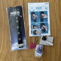 Item thumbnail for item e844791e-652e-41f1-95ee-400bca8c6c5a