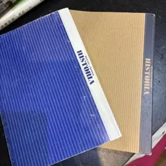 Item thumbnail for item 80f989b0-7dff-4c84-8872-b7c8bbe4e55e