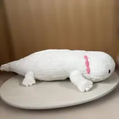 【ラスト】AMAZING OCEAN 超BIG ウーパールーパー　1種