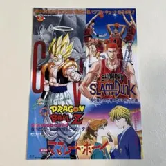 95春 東映アニメフェア 告知チラシ ドラゴンボールZ スラムダンク