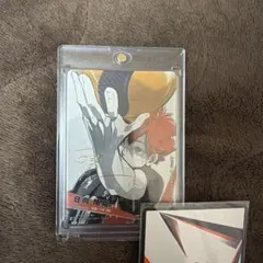 ハイキュー!! バボカ!! BREAK 日向翔陽 サイン 極