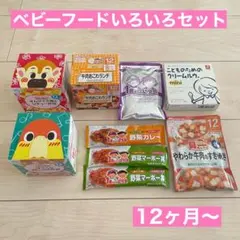 離乳食 ベビーフード 9点セット まとめ売り 12ヶ月 1歳