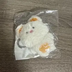 2026年最新】EVNNIZの人気アイテム - メルカリ