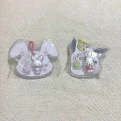 サンリオ　パッケージチャーム　ウィッシュミーメル＆ポチャッコ　2点セット