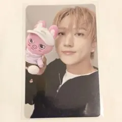 straykids zootopia トレカ チャンビン