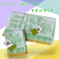 【新品未使用❣️】はらぺこあおむし ジャガードタオルセット