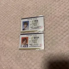 Item thumbnail for item 6a8d3230-56b0-4676-8f98-2a67c1d1d347