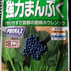 ホウレンソウ　強力まんぷく　種　サカタのタネ　35粒＋αのサムネイル