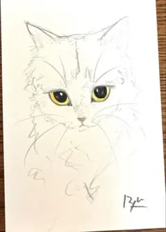 猫　絵画　ドローイング