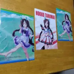 ウマ娘 ホッコータルマエ シンボリクリスエス　Ａ−４クリアファイル 合計３枚