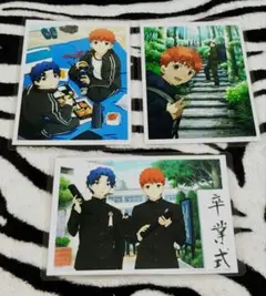 藤村大河のアルバムブロマイド ３種類セット ラミネート済 バラ売り❌