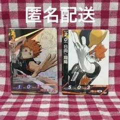 バボカ 日向翔陽 2枚セット