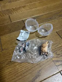 ティラノサウルス