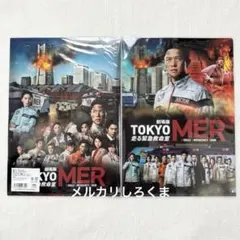 Item thumbnail for item 4875f064-77cc-44f9-a961-42d48b52fea0