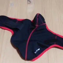 Item thumbnail for item b938806a-5e54-4d10-b5f8-4f39e7cc723c