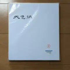 大色紙10枚セット