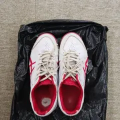 Item thumbnail for item b7f082a8-6945-4d25-8fc9-522cf23200fa