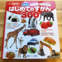 はじめてのずかん300