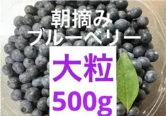 返礼品 ブルーベリー小粒500g 農薬不使用野菜コンパクト便 - メルカリ