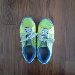 Item thumbnail for item 559ee89b-f79a-4e68-af7a-301144e1804b