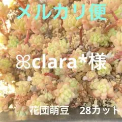 ꕤclara*様 リクエスト 2点 まとめ商品
