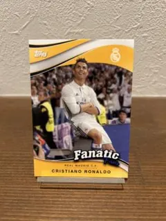 Item thumbnail for item 5217d6f7-d8f3-48af-b471-eb3ae7347e20