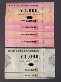ビックカメラ コジマ 株主優待券 6000円分 株主優待 匿名発送