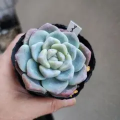 Min−Min様 リクエスト 4点 まとめ商品