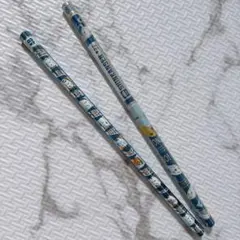 Item thumbnail for item 37755f02-32e8-44a2-95fa-43998f634baa